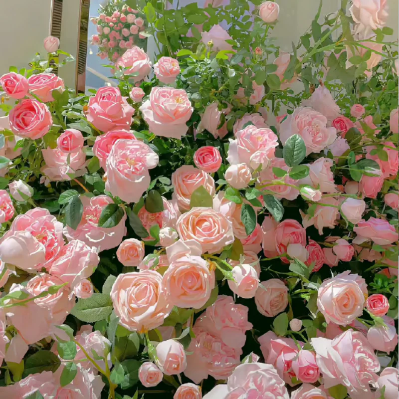 Climbing Rose Seeds ~ Transform fences into floral walls naturally~ - Image 2