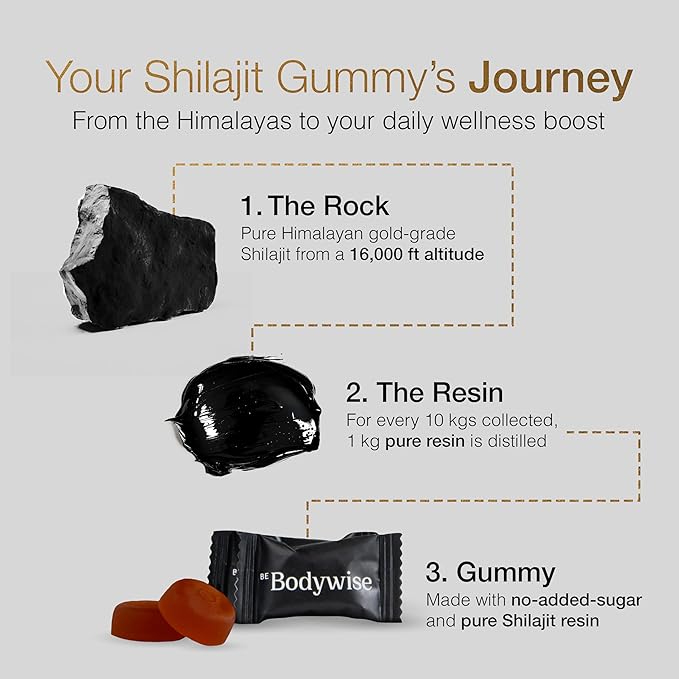 Pure Himalayan Shilajit Gummies ~ Natural Energy & Stamina in Every Bite - Image 3